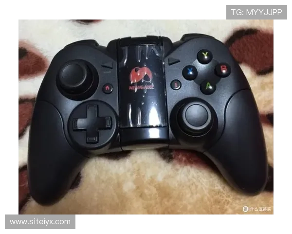 爱游戏手机版官方版安全稳定，保障你的游戏体验无忧无虑